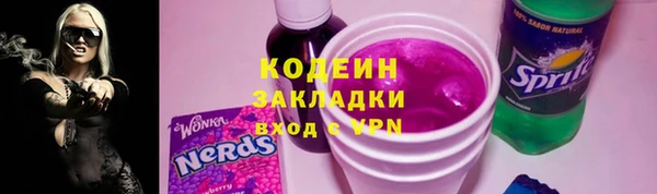 прущий лед Богданович
